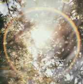 جلسة تأمل تشافي </br> Clearing & Healing Meditation Session
