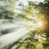 تشافي المراكز الطاقية الخمسة </br> Healing the five energy centers